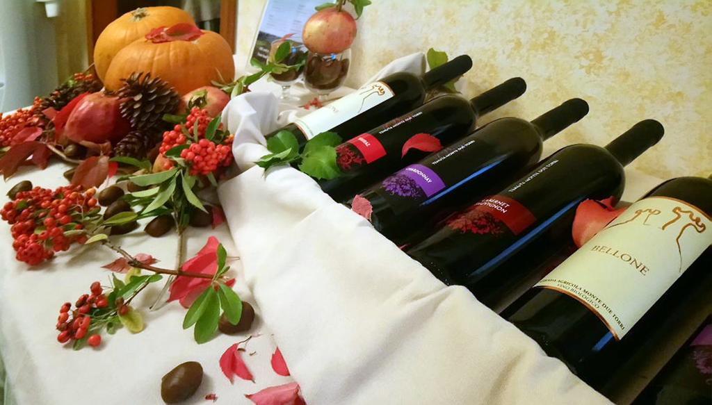 Aurelia Residence San Pietro Aparthotel ローマ エクステリア 写真